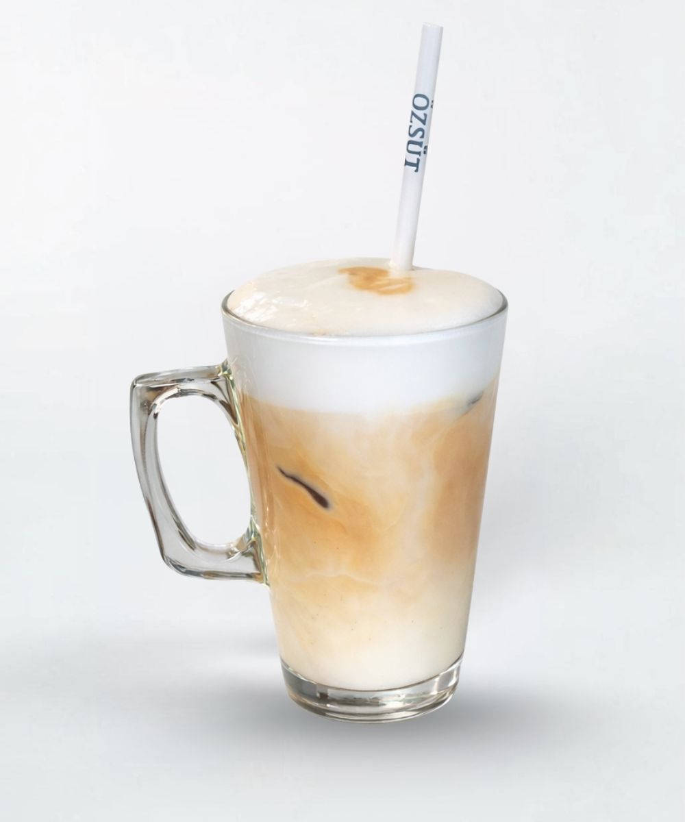 Özsüt Iced Cappuccino